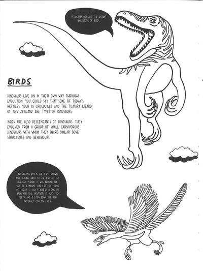 Evolution: A Colouring Book