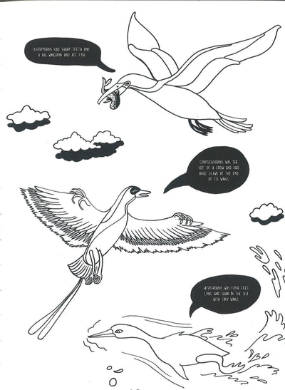 Evolution: A Colouring Book