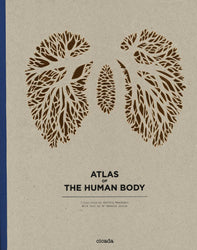 Atlas Of The Human Body