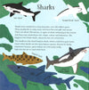 Ocean Book
