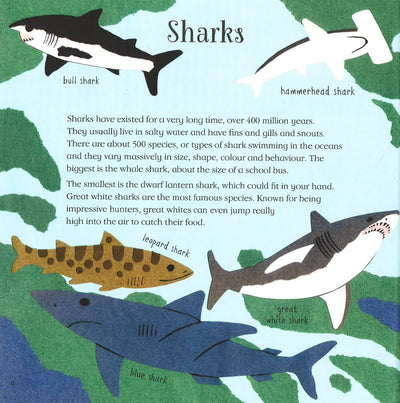 Ocean Book