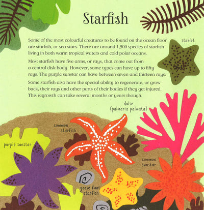 Ocean Book
