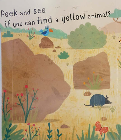 Seek + Peek Jungle