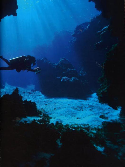 Wild Oceans