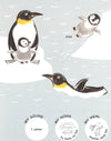 Animals And Their Families