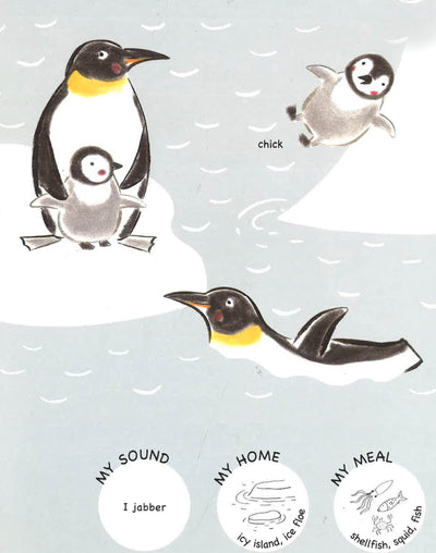 Animals And Their Families