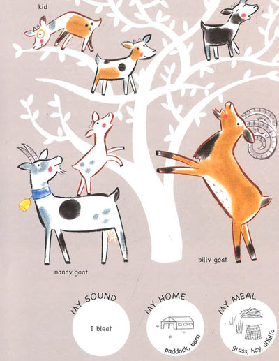 Animals And Their Families