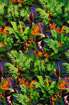 Giftwraps: Fauve Birds,Butterflies