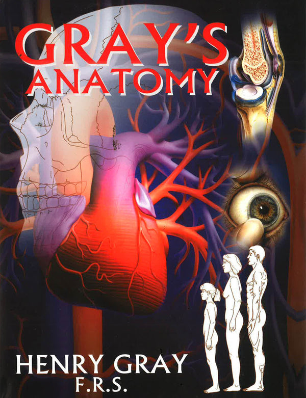 Gray's Anatomy - Big Bad Wolf Books Sdn Bhd (Philippines)