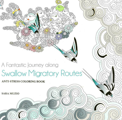 A Fantastic Journey Along : Swallow Migratory Routes
