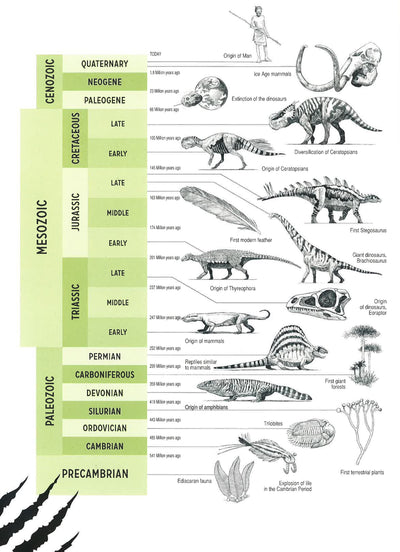 Armored Dinosaurs