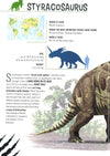 Armored Dinosaurs