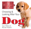 Choosing And Looking After Your Dog